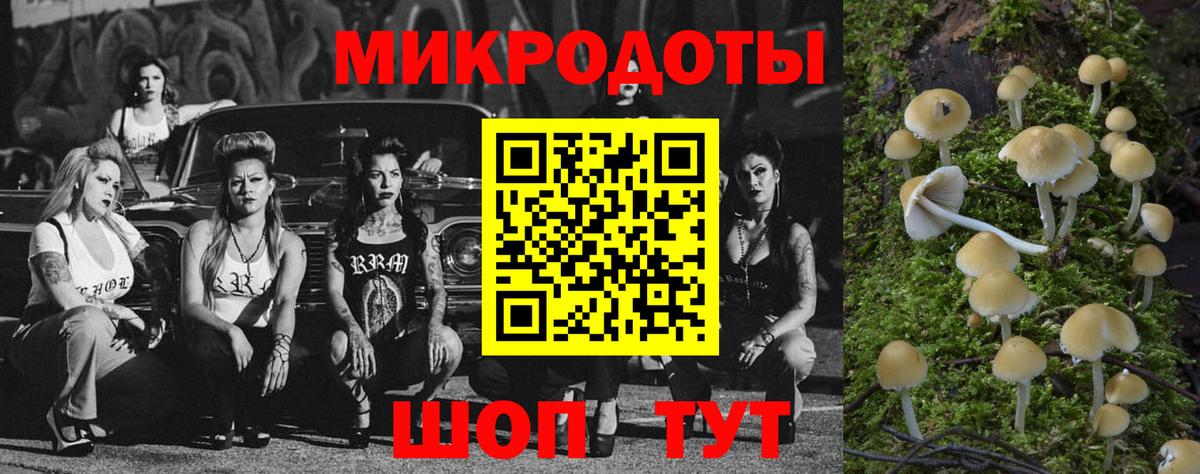 Галлюциногенные грибы Cubensis Октябрьский