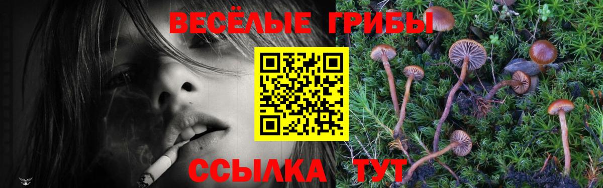 Псилоцибиновые грибы GOLDEN TEACHER  Вход с VPN  Октябрьский 